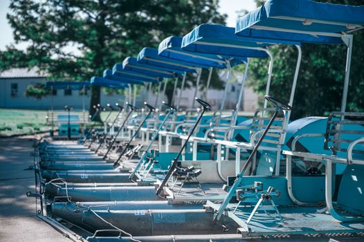 Row of water bicycles located in park near green plants in sunny summer day