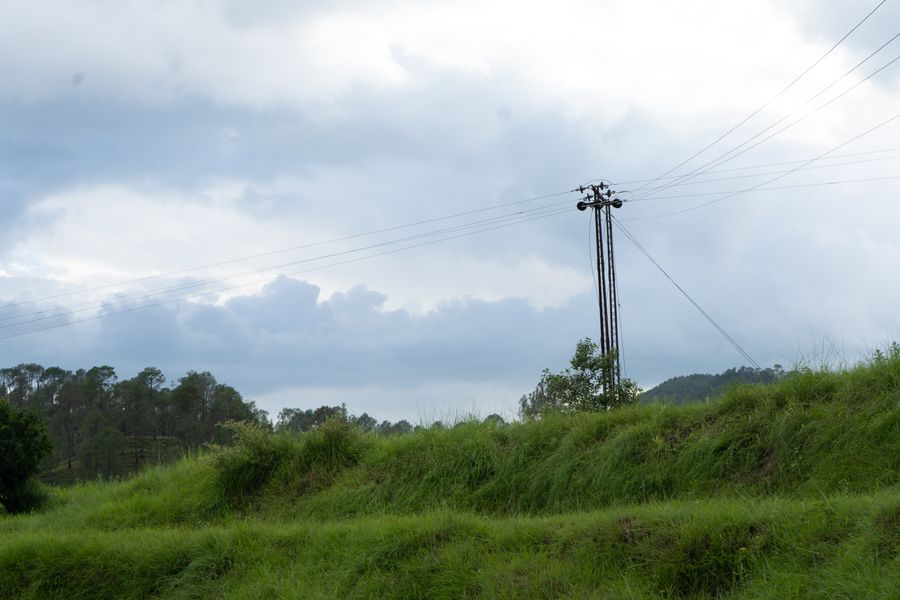 Kanha Meadow Vista photo 3