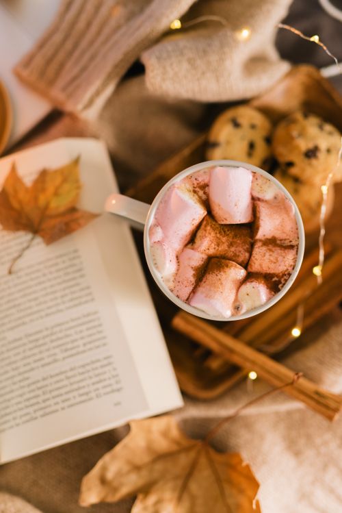 Free A warm autumn setup with hot chocolate, marshmallows, cookies, and a book. Stock Photo