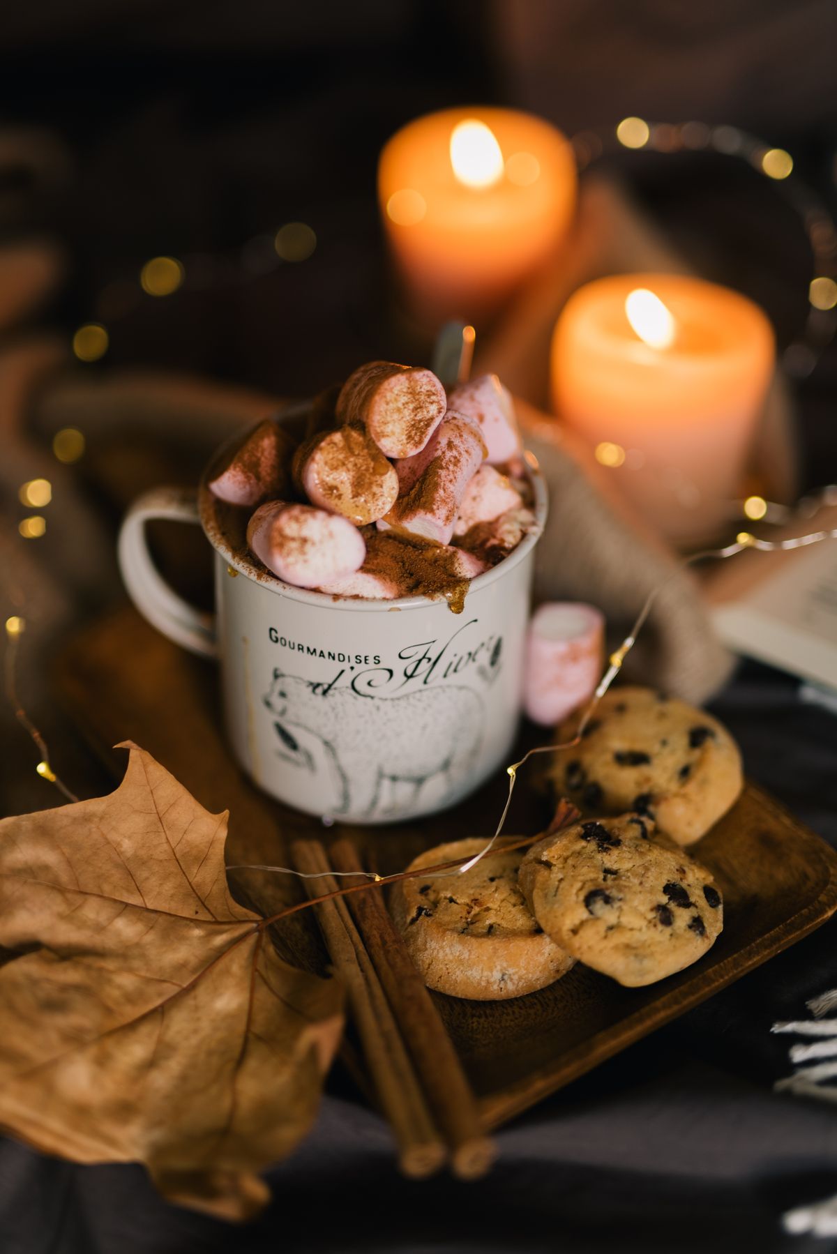 Warm mug drink with marshmallows and cookies for a fall evening