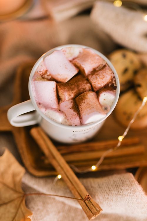 Free Warm cup of hot chocolate with marshmallows and cinnamon sticks, ideal for cozy winter days. Stock Photo