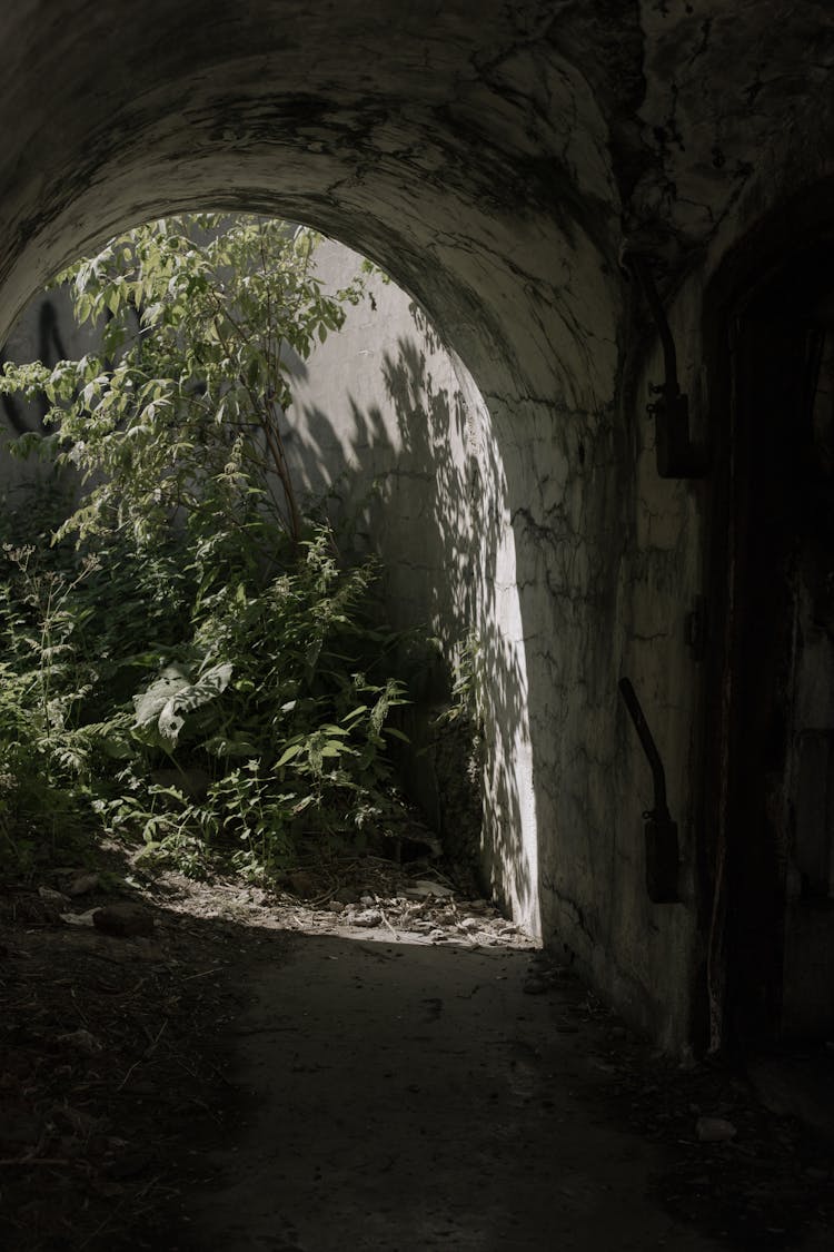 A Concrete Tunnel