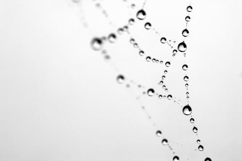 Free Water Droplets on White Surface Stock Photo