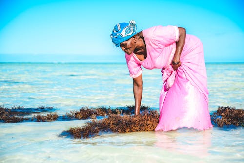 Free A Woman in Pink Dress Cleaning the Beach Stock Photo