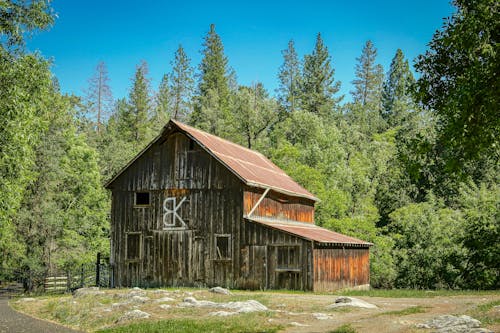 Free A Wooden Barn in the Forest Stock Photo