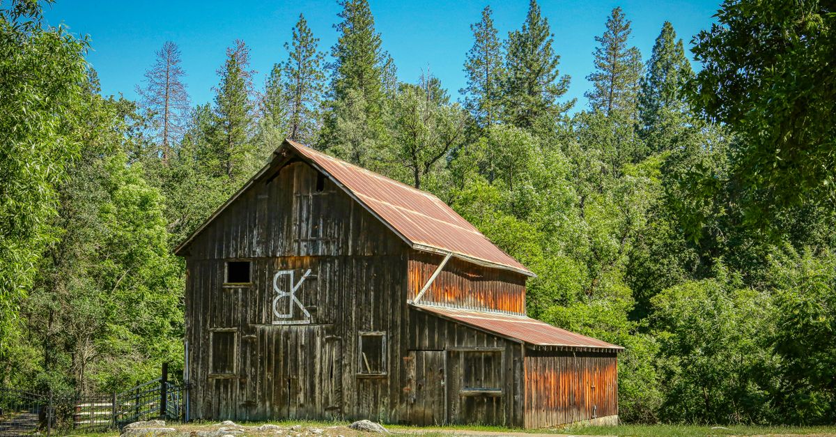A classic wooden barn surrounded by lush greenery in Murphys, CA.