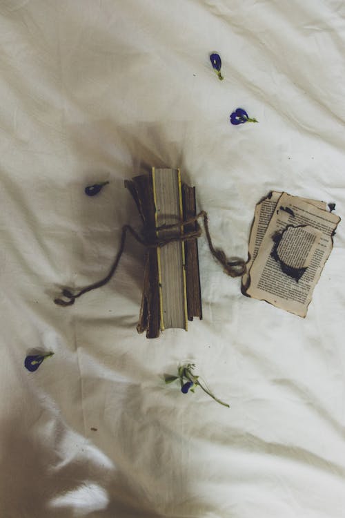 From above of aged textbook tied with rope near flower petals and torn pages on crumpled blanket