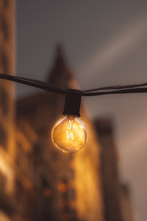 Základová fotografie zdarma na téma lehký, makro, osvětlený