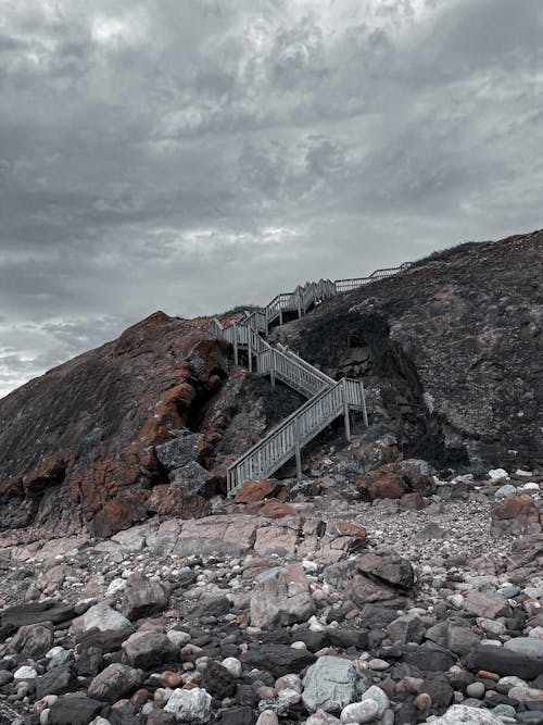 Gratis lagerfoto af strand, trapper