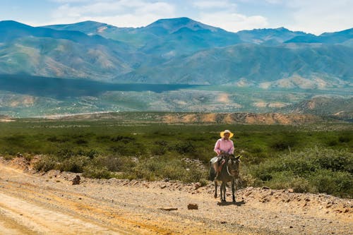 Person Riding Horse on Dirt Road