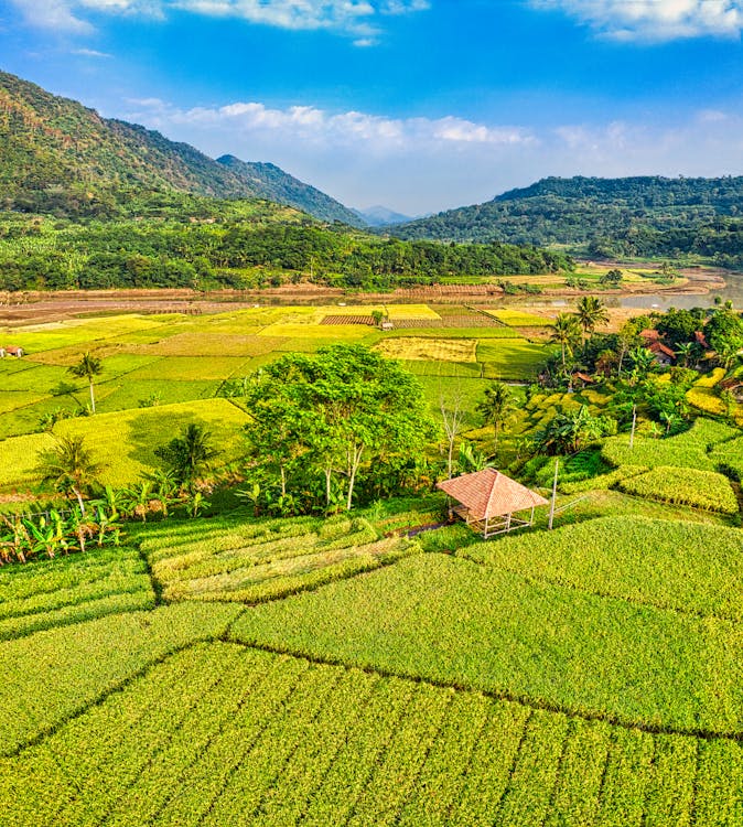 Green Grass Field Near Mountain