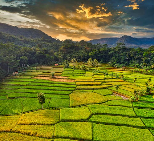 Green Grass Field Under Cloudy Sky