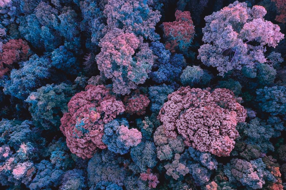 High angle of bright exotic coral growing in clear water of sea at daytime