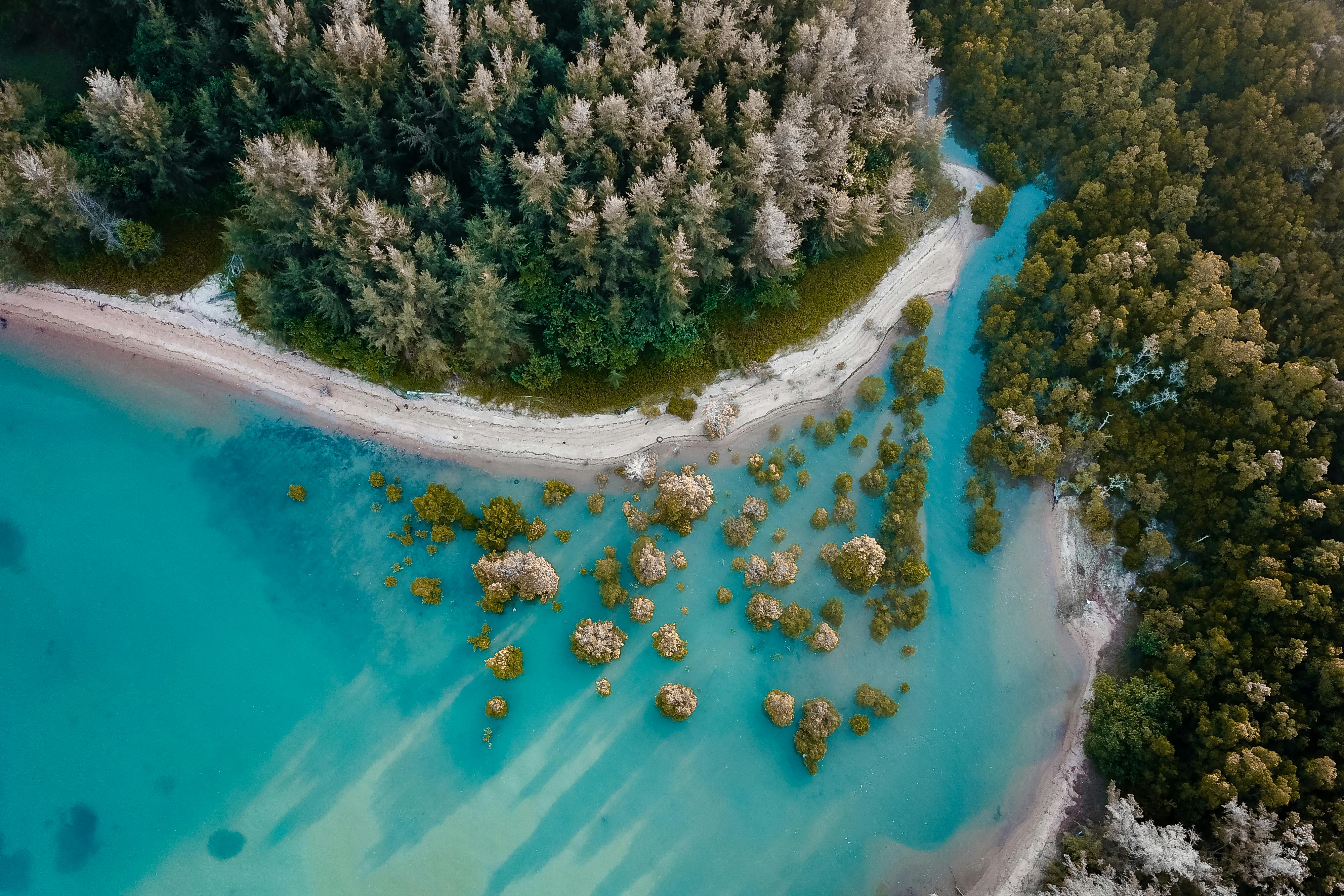 Debunking the Myth: Weightlifting and Height Growth