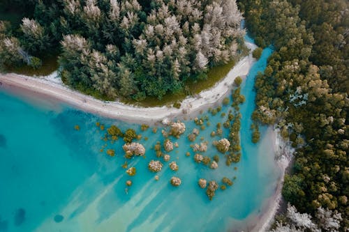 Drone view of turquoise water washing sandy coastline with green forest in sunny day