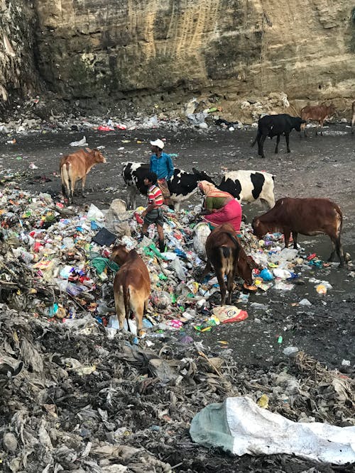 Immagine gratuita di cianfrusaglie, danno ambientale, discarica