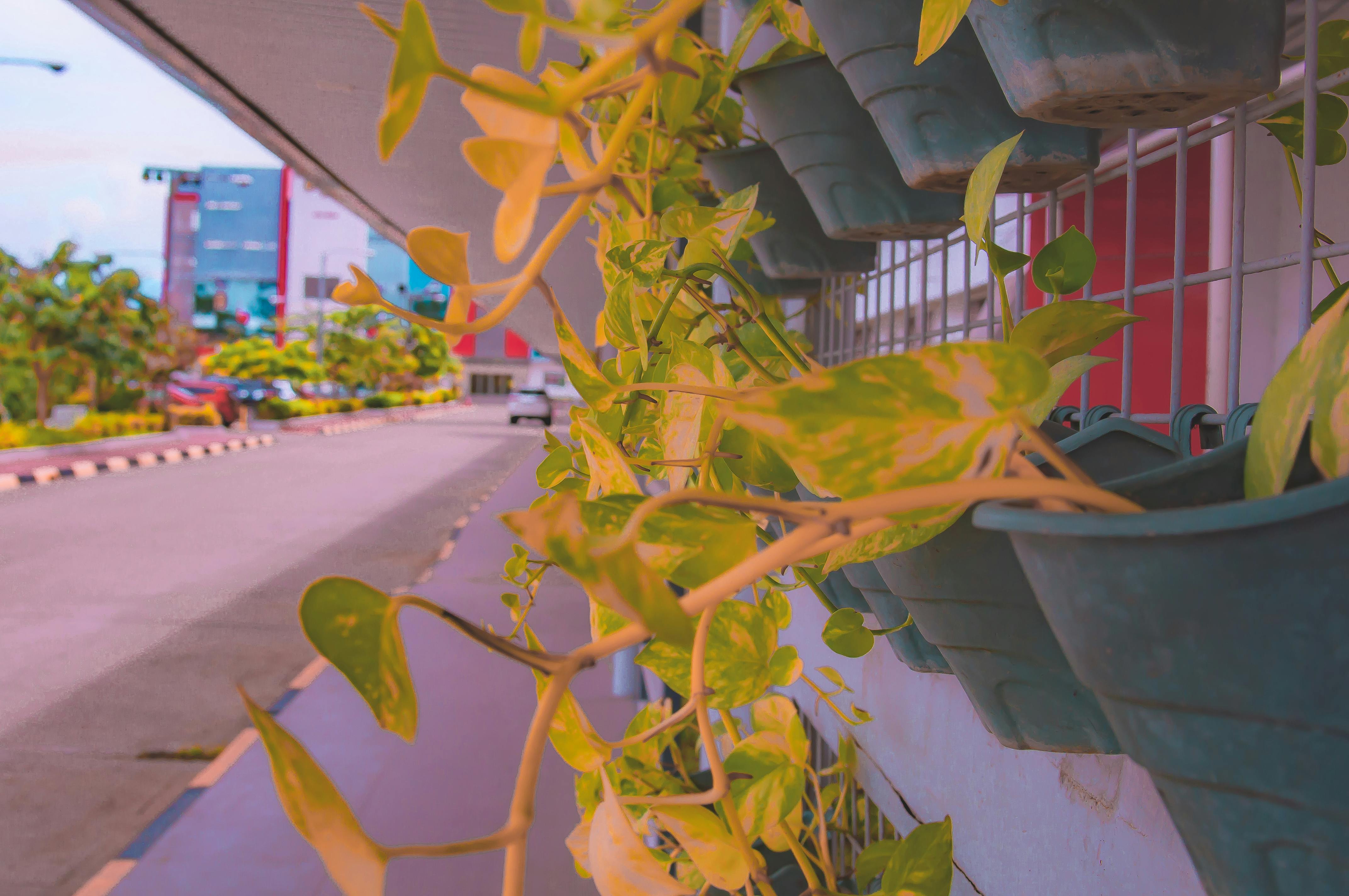 Giải trí trên máy bay