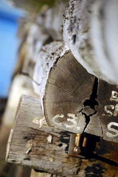 Detailed view of stacked weathered logs with visible textures and markings.