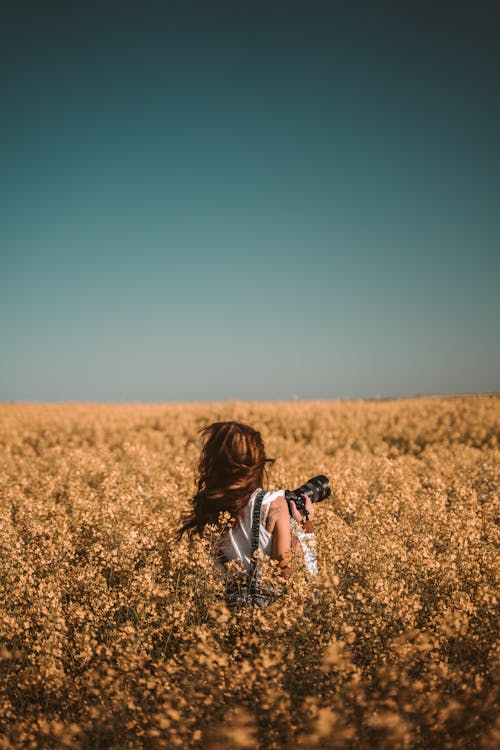 Free A Woman Standing on the Field of Yellow Flowers Stock Photo
