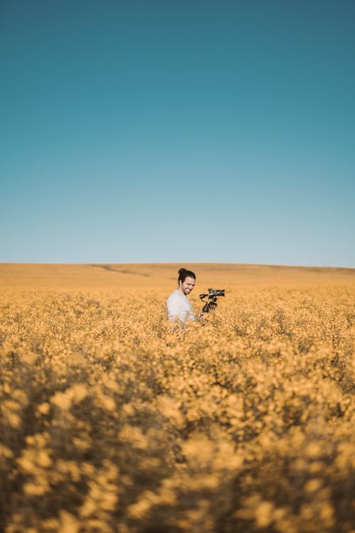 Free A man capturing the beauty of a blooming flower field under a clear blue sky in Cape Town, South Africa. Stock Photo