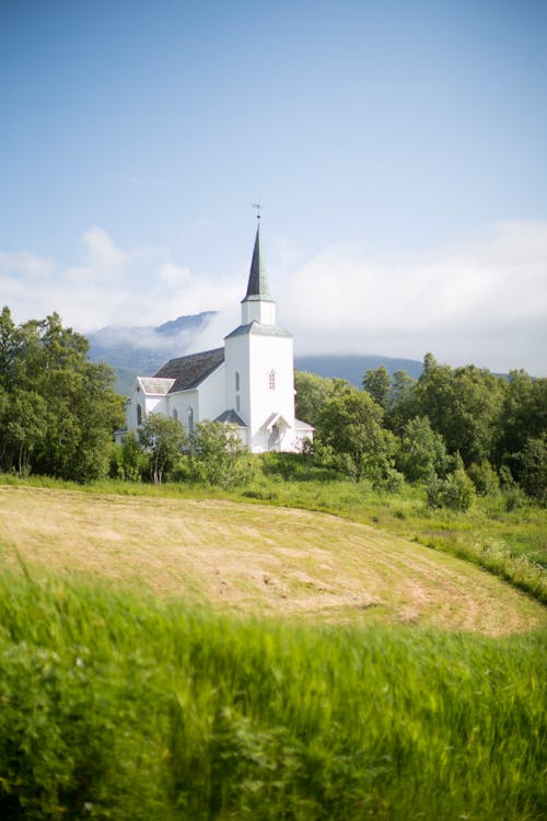 Gratis lagerfoto af blå himmel, græsmark, grønne træer