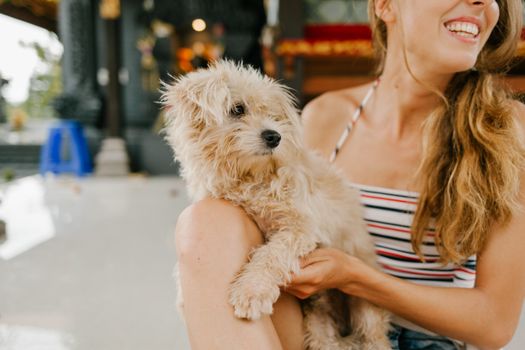 笑容灿烂的农场女主人抚摸着一只纯种可爱的玩具贵宾犬