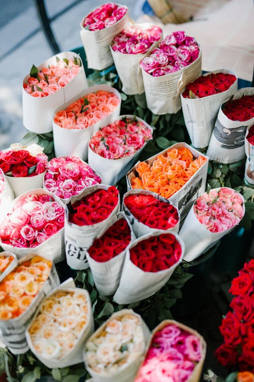Free From above set of various colorful bouquets of roses wrapped in paper in florist shop Stock Photo