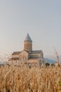 佐治亚州乡村金色麦田中的阿拉维迪修道院风景