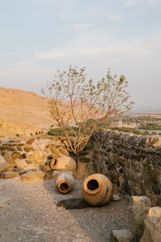 在佐治亚州迷人的风景中，温暖的阳光下，历史遗迹附近有美丽的古代陶器