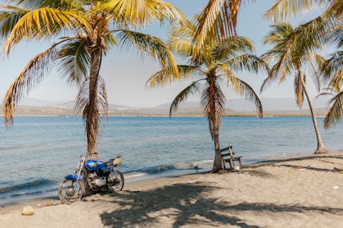 Tropical sandy beach with motorbike and palms
