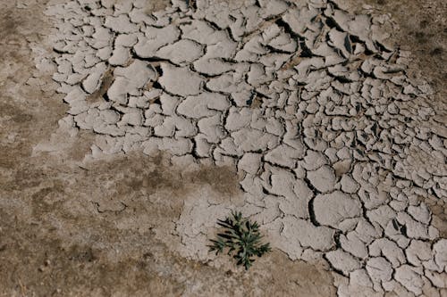 Free Cracked dry ground in desert area Stock Photo