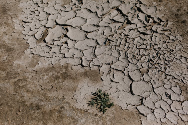 Cracked Dry Ground In Desert Area