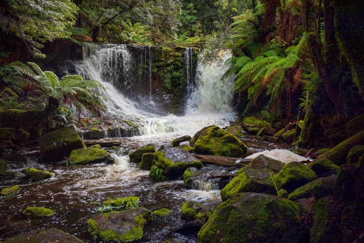 Beautiful Waterfall In A Forest 