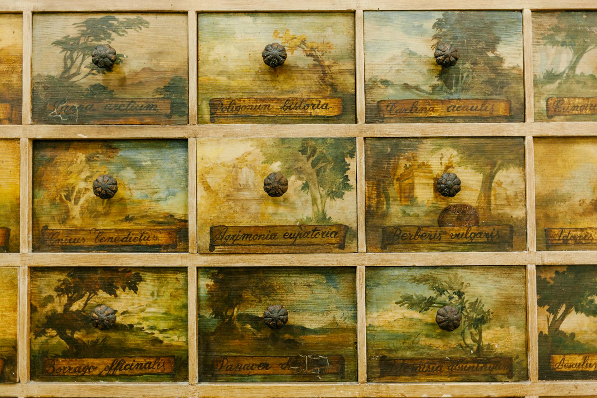 Textured background of aged cabinet with rectangular shaped drawers with colorful pictures and round handles