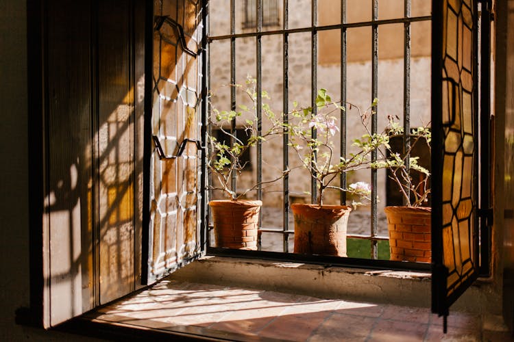 Potted Plants Near Fence In Old Stone House