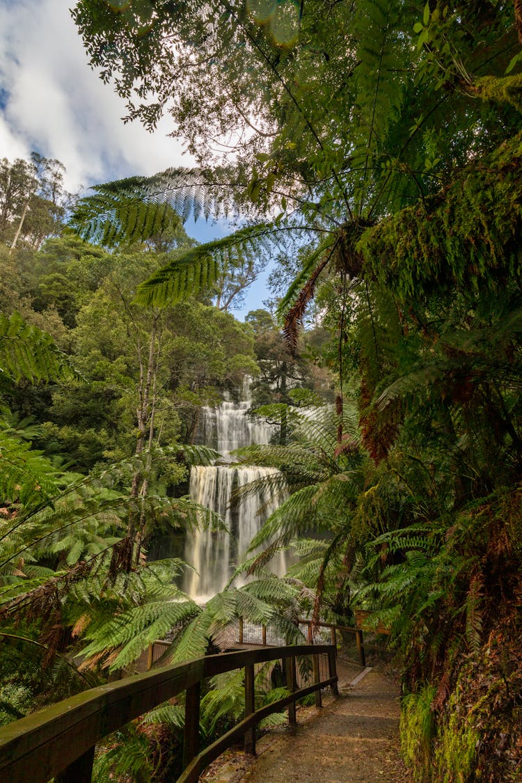 Scenic View Of The Famous Mount Field National Park In Tasmania