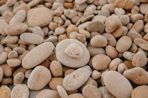 From above of textured background of small stones with blots on surface on shore