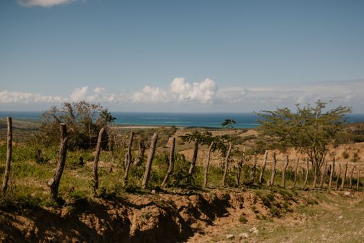 Clôture De Tronc D'arbre Sur Les Hautes Terres Près De La Mer Sans Fin