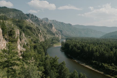 Rzeka Między Grzbietem A Zielonymi Drzewami Pod Zachmurzonym Niebem