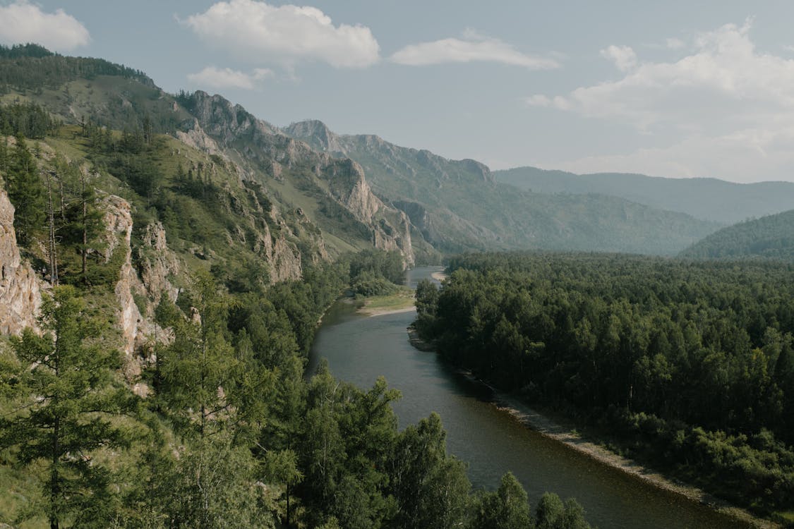 River between ridge and green trees under cloudy sky · Free Stock Photo