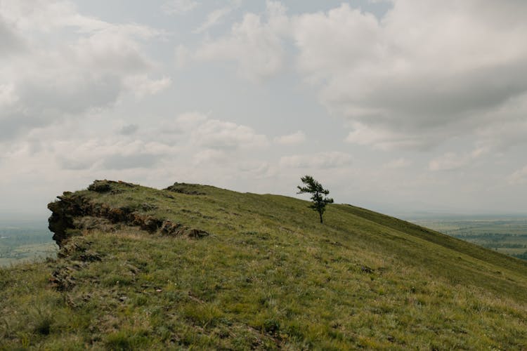 Lonely Tree On Green Mount Under Cloudy Sky