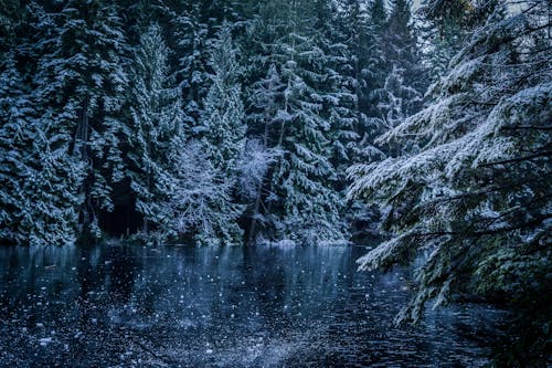 免费 下雪的天氣, 冬季, 冰凍的湖面 的 免费素材图片 素材图片