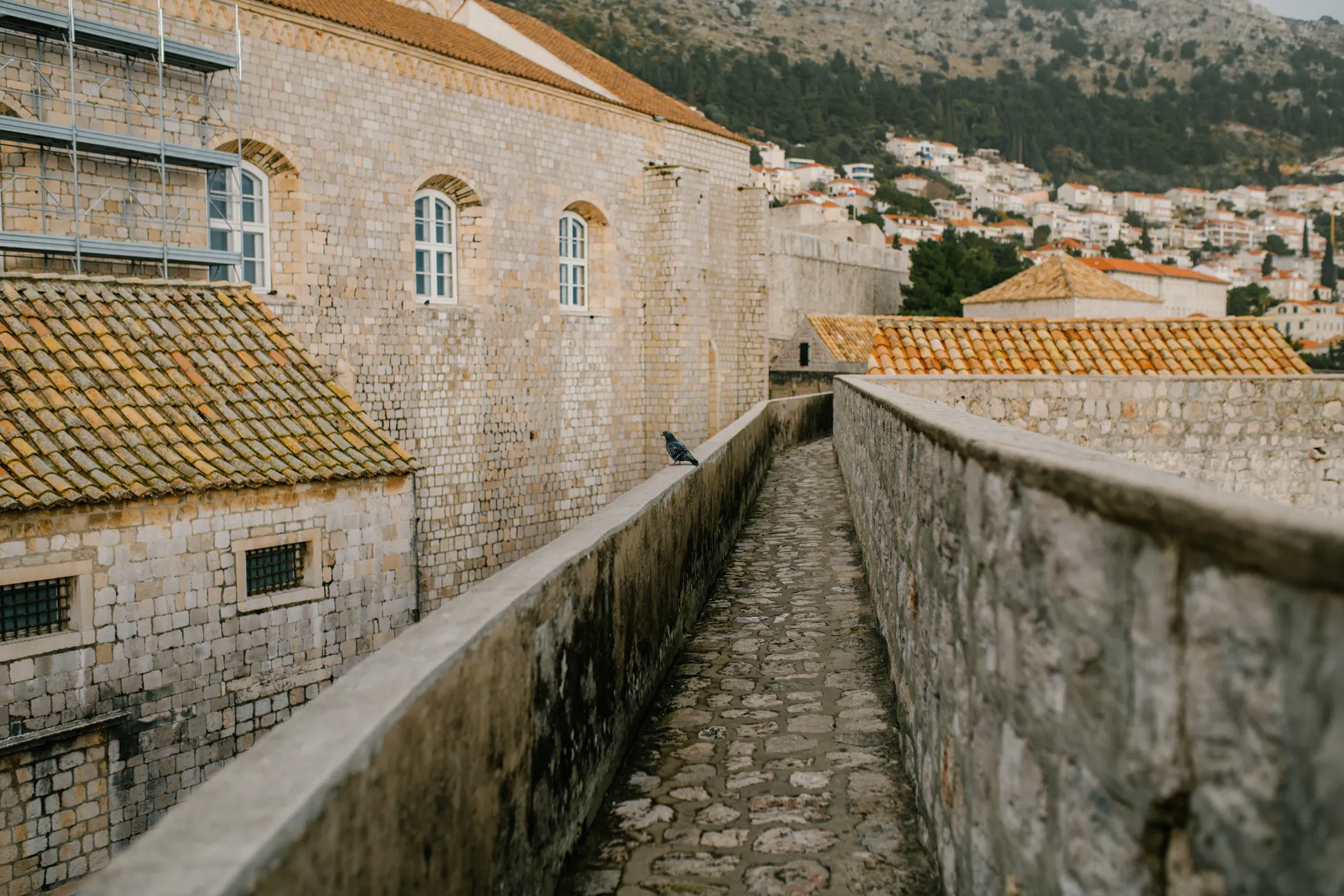 Erasmus en Dubrovnik
