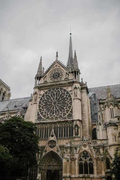 From below of aged stone Notre Dame de Paris church with ornamental facade with carved elements