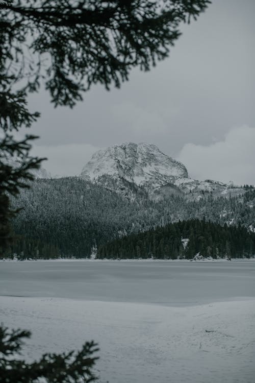 Snowy mountain top under conifer trees with frozen lake