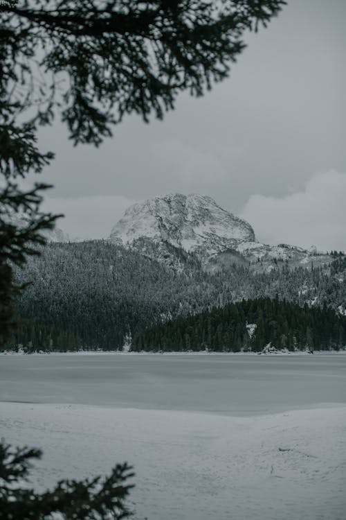 Cima Di Montagna Innevata Sotto Alberi Di Conifere Con Lago Ghiacciato