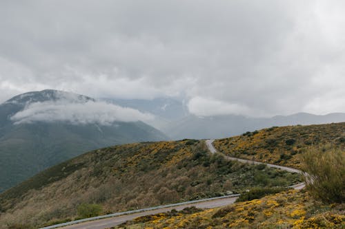 Winding asphalt roadway running through grassy hill covered with grass and shrubs under cloudy sky