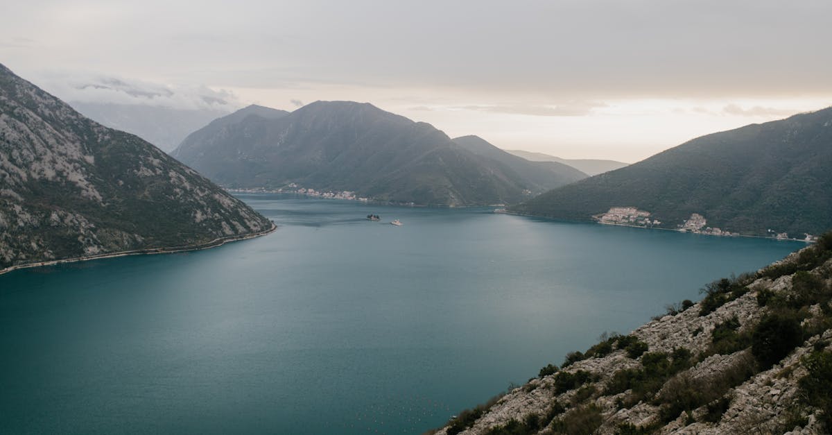 Kotor