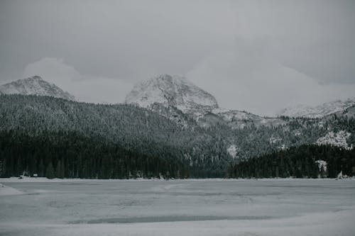 Scenic view of rough mountains under snow near coniferous frozen forest and spacious lake covered with ice on cold cloudy weather