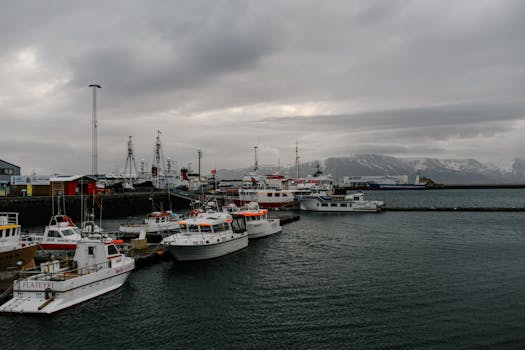 A tranquil Icelandic harbor scene with boats and dramatic mountain backdrop under cloudy skies.